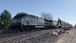 NS 4511 is new to rrpa.
